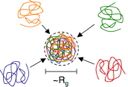 Confined space and effective interactions of multiple self-avoiding chains