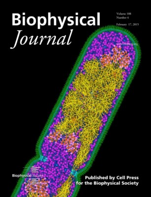 Chromosome, cell cycle, and entropy